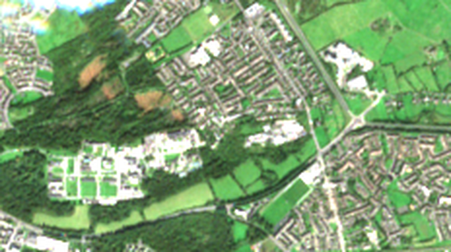 Sentinel-2 true-colour image of Merlin Woods and Doughiska, 26 September 2026, showing felled patches in the dark conifer canopy